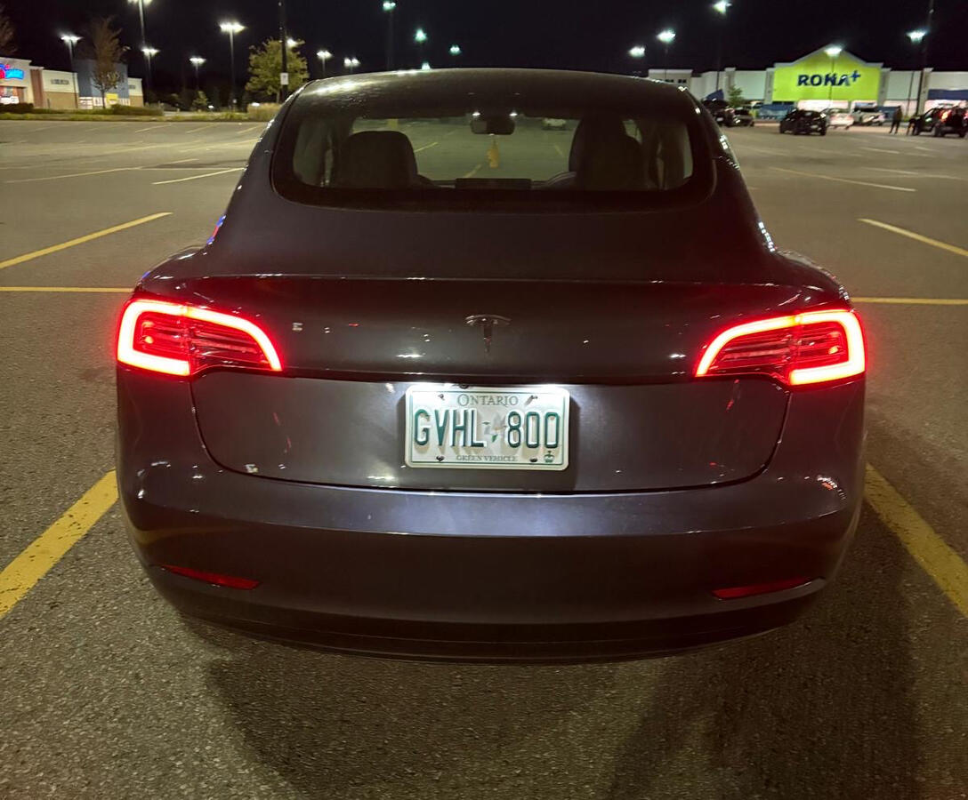 Tesla back 1